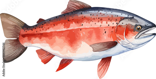 Slamon fish
