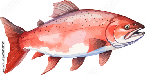 Slamon fish