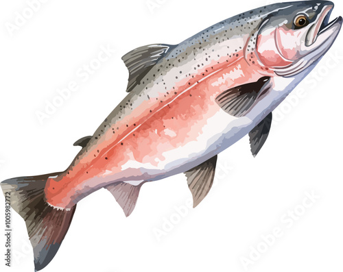 Slamon fish