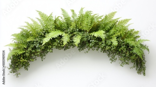 A lush arrangement of ferns and greenery against a white background.