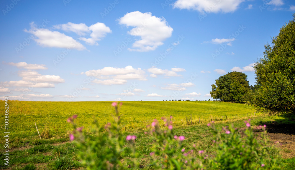 Champ vert au milieu de la campagne française sous le soleil de printemps. Champ vert au milieu de la campagne française sous le soleil de printemps.