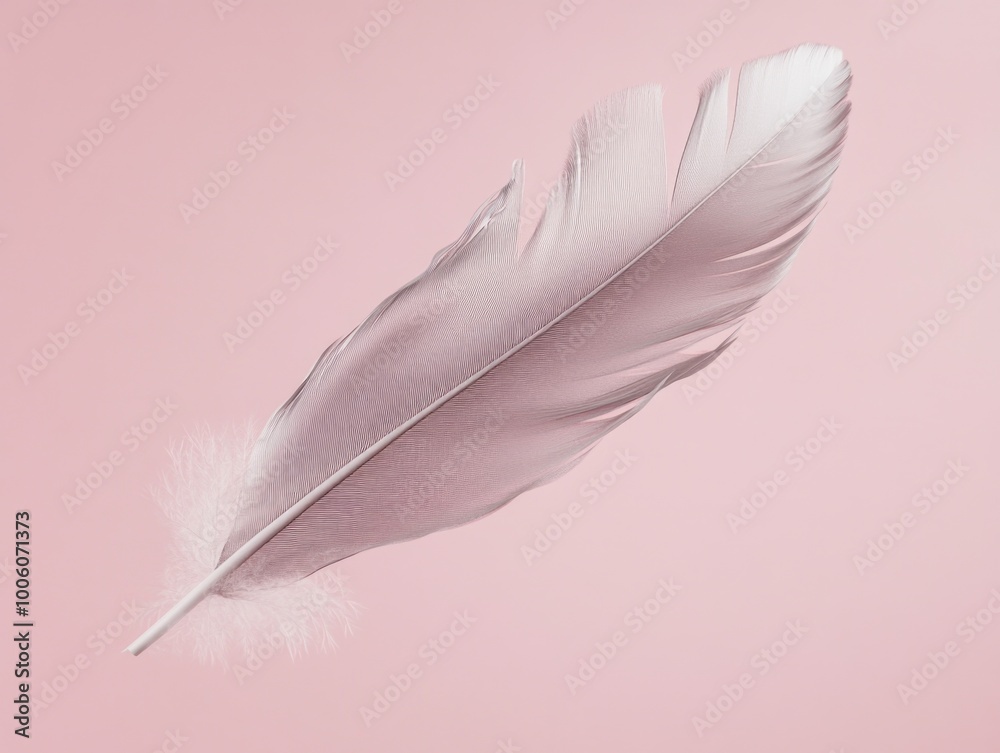 Obraz premium White Feather on Pink Background