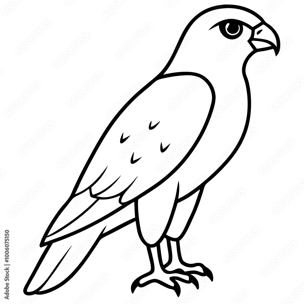 Majestic Hawk Perched on a Branch Vector Illustration of Nature's Fierce Bird
Majestic Hawk Perched on a Branch Vector Illustration of Nature's Fierce Bird