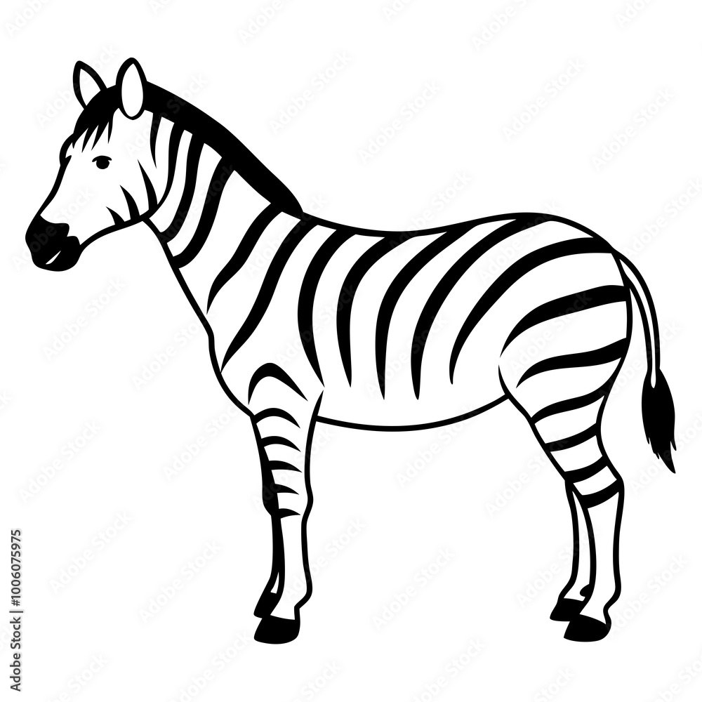 Fototapeta premium Beautiful Zebra Standing Tall in Nature Stunning Vector Illustration for Designers 