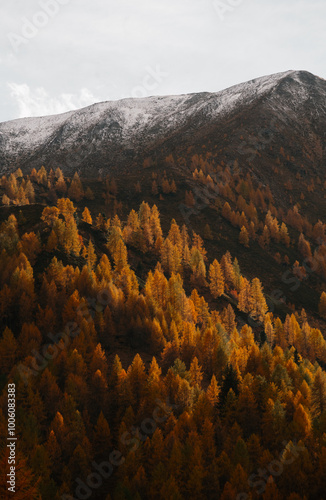 Stunning fall mountain scenery with golden larches and snowy mountains in the Alps