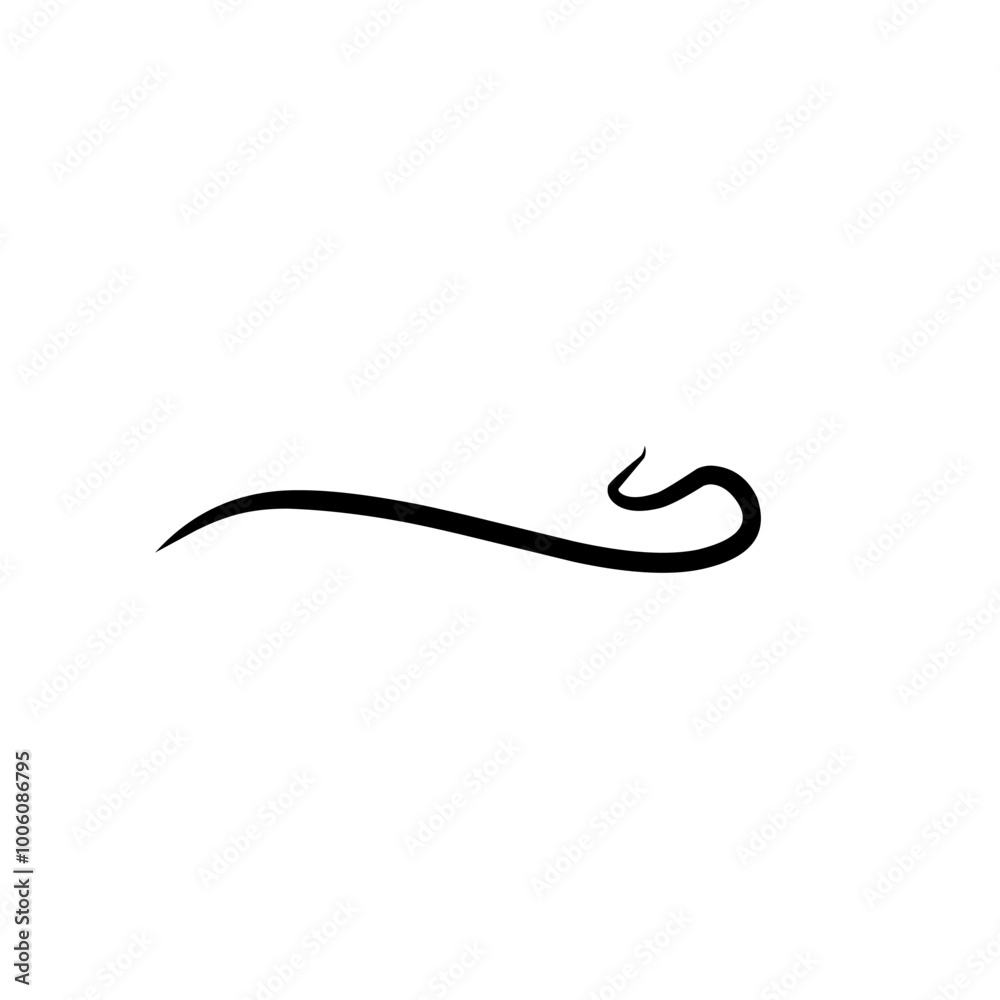 Calligraphic swoosh tail Calligraphic swoosh tail