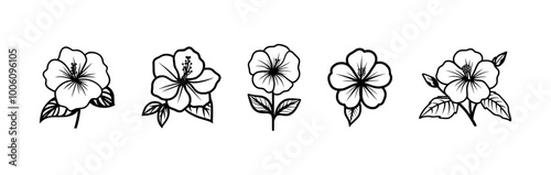 A collection of five hibiscus flowers in various styles, depicted in a simple line art design.