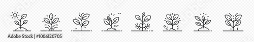 Seedling to grow up plant icon set, Seed to Tree grow up icon set, Plant leaf icon set., plant with leave icons set
