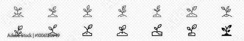 Seedling to grow up plant icon set, Seed to Tree grow up icon set, Plant leaf icon set., plant with leave icons set