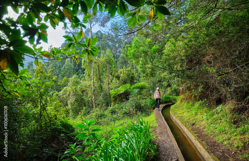 Person hiking along Levada do Rei trail surrounded by lush forest in Madeira, Portugal.