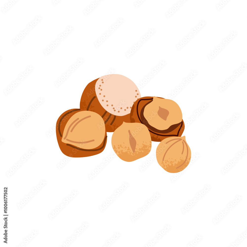 Cartoon hazelnut. Nuts in shell and peeled pieces with leaf. Healthy food. Diet snack. Organic vegetarian element. Whole and half. Natural plant ingredient packaging design. Vector isolated illustrati Cartoon hazelnut. Nuts in shell and peeled pieces with leaf. Healthy food. Diet snack. Organic vegetarian element. Whole and half. Natural plant ingredient packaging design. Vector isolated illustrati
