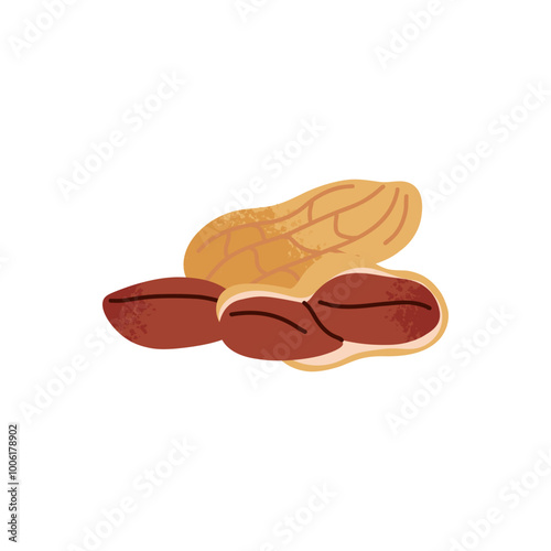 Cartoon peanut. Nuts in shell and peeled pieces. Healthy food. Diet snack. Organic vegetarian element. Whole and half. Natural plant ingredient packaging design, Vector isolated illustration