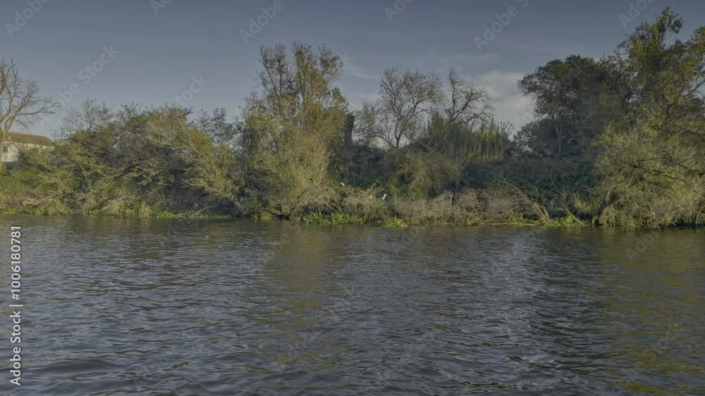 Filming of the Tejo River in Portugal with sunset and trees. Filming of the Tejo River in Portugal with sunset and trees.
