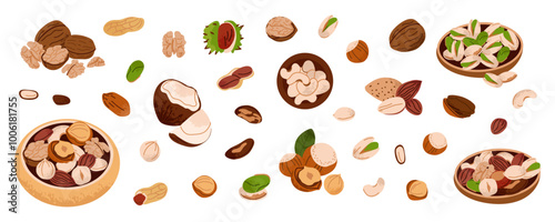 Nuts set. Walnuts, hazelnuts and coconut. Healthy vegan snack pistachios, chestnuts and almond, cashews and peanuts. Different superfood. Natural food, vector cartoon flat isolated illustration