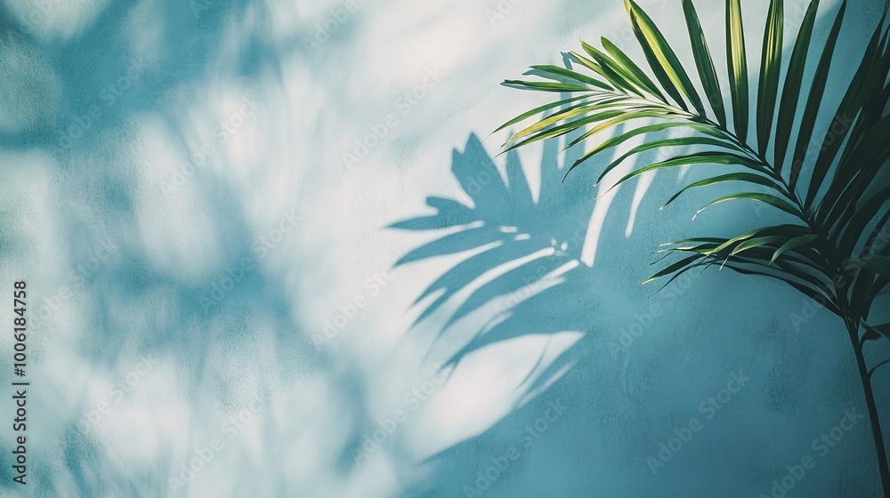 Delicate Shadows of a Tropical Leaf on Wall