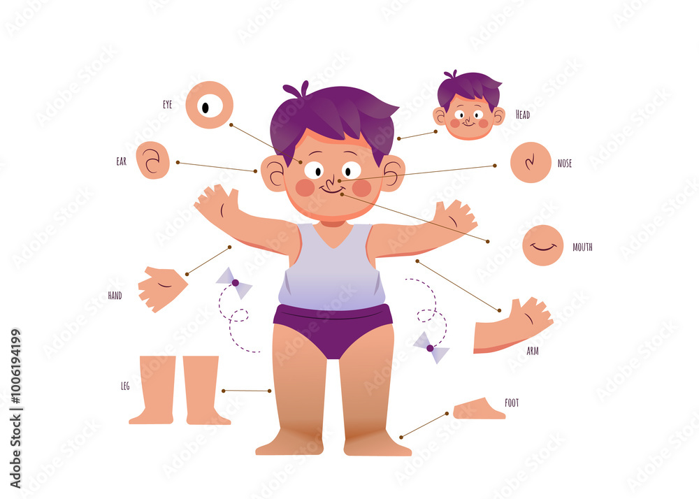 Illustration of a boy demonstrating body parts in a cartoon style. Illustration of a boy demonstrating body parts in a cartoon style.