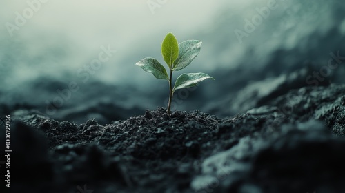 emotional growth plant sprouting from soil subtle earth tones