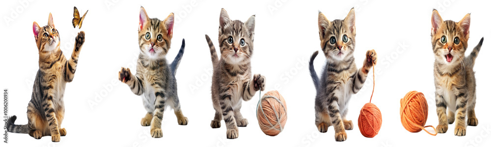 Playful cat bundle set PNG, isolated on transparent background. Perfect for pet-themed designs Playful cat bundle set PNG, isolated on transparent background. Perfect for pet-themed designs