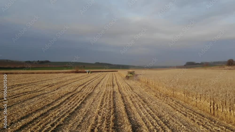 Corn Harvest at Sunset: Combine Harvester in Action Corn Harvest at Sunset: Combine Harvester in Action