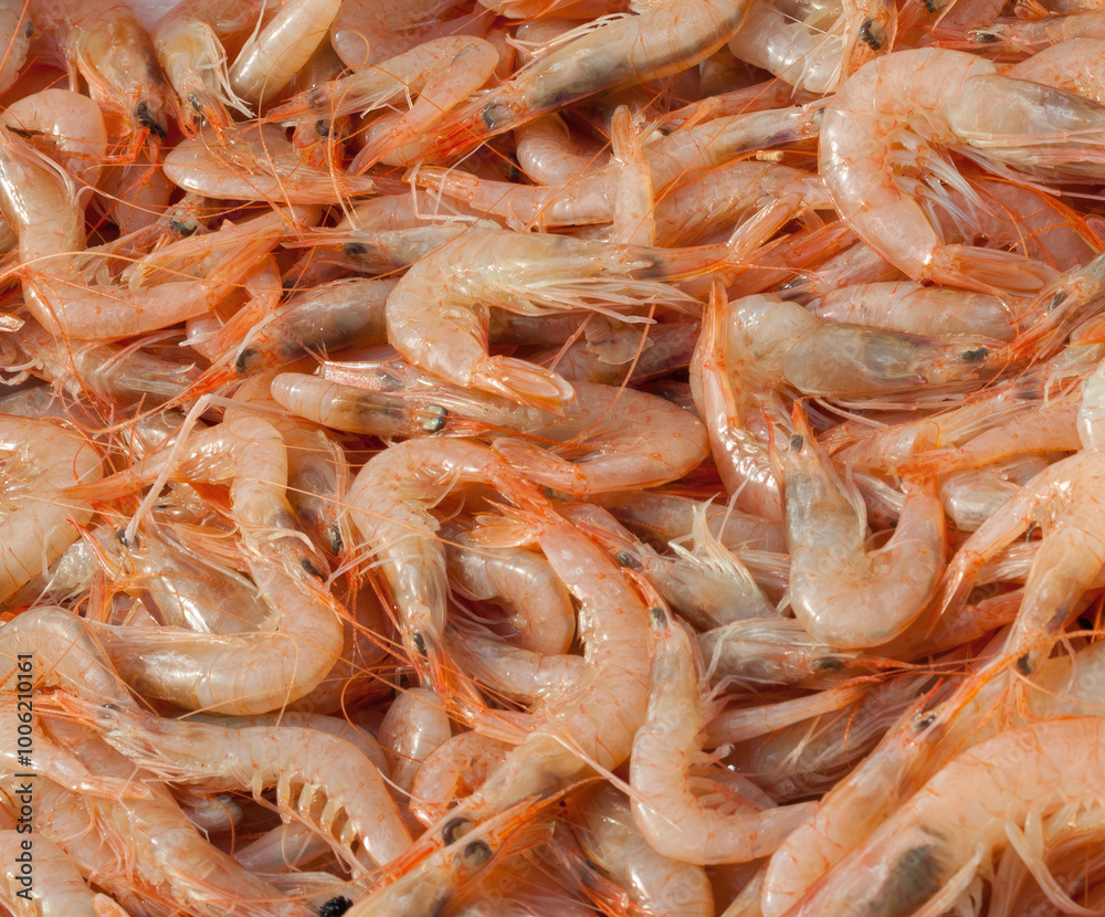 Fresh mediterranean prawns forming appetizing background Fresh mediterranean prawns forming appetizing background