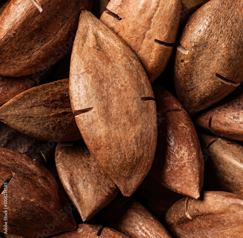 Pili nuts forming an intricate textured background photo