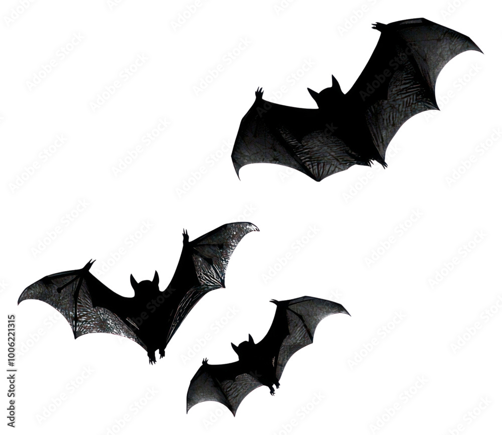 Fototapeta premium PNG Silhouette flying 3 bats background wildlife animal.