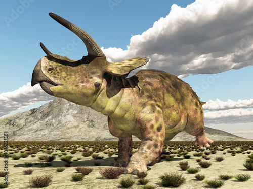 Fototapeta Naklejka Na Ścianę i Meble -  Dinosaurier Nasutoceratops in einer Landschaft