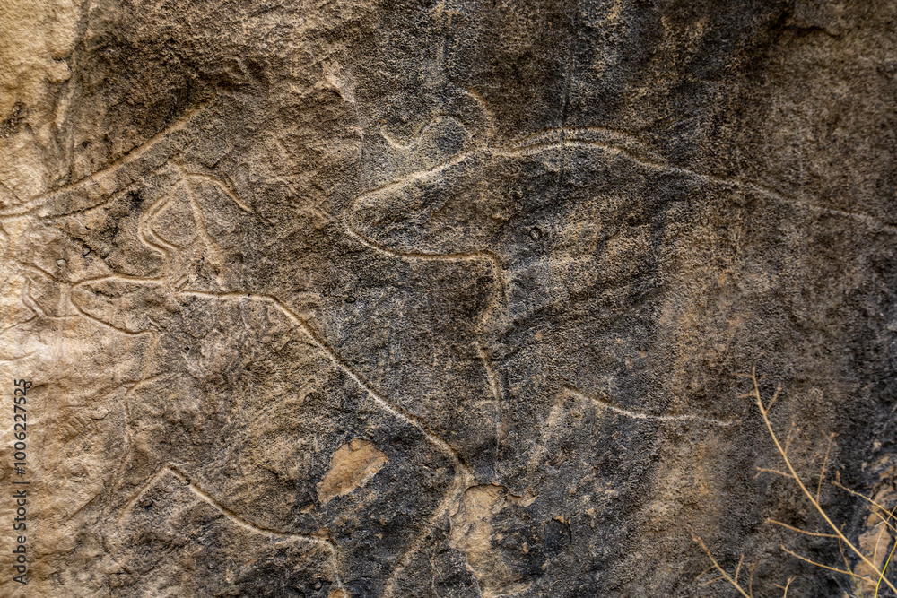 Gobustan, Azerbaijan Ancient petroglyphs in the rock in the Boyukdash Park depict a bull. Gobustan, Azerbaijan Ancient petroglyphs in the rock in the Boyukdash Park depict a bull.
