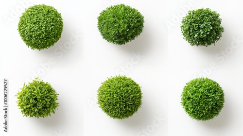 Architectural Landscape Elements, top view illustration of diverse trees, bushes, and shrubs for detailed floor plans, enhancing environmental design and planning.