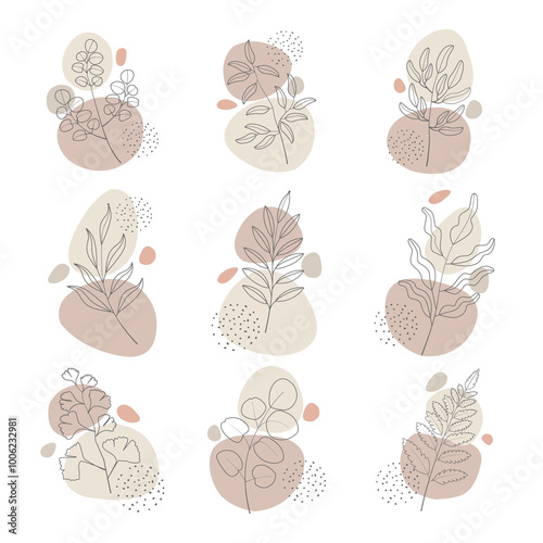 Boho Style Plant Decorative Illustration Collection