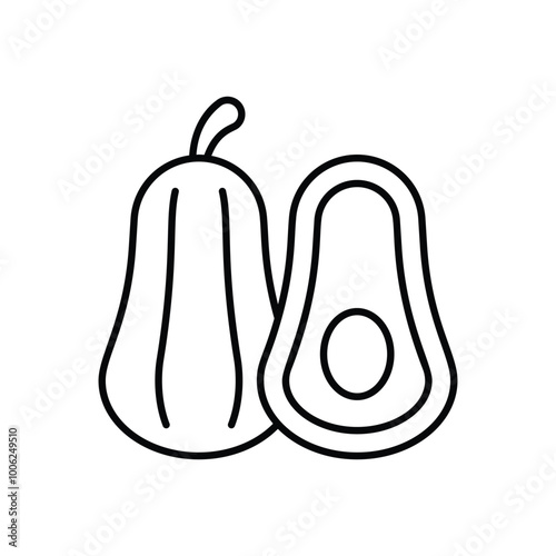 Squash vector icon