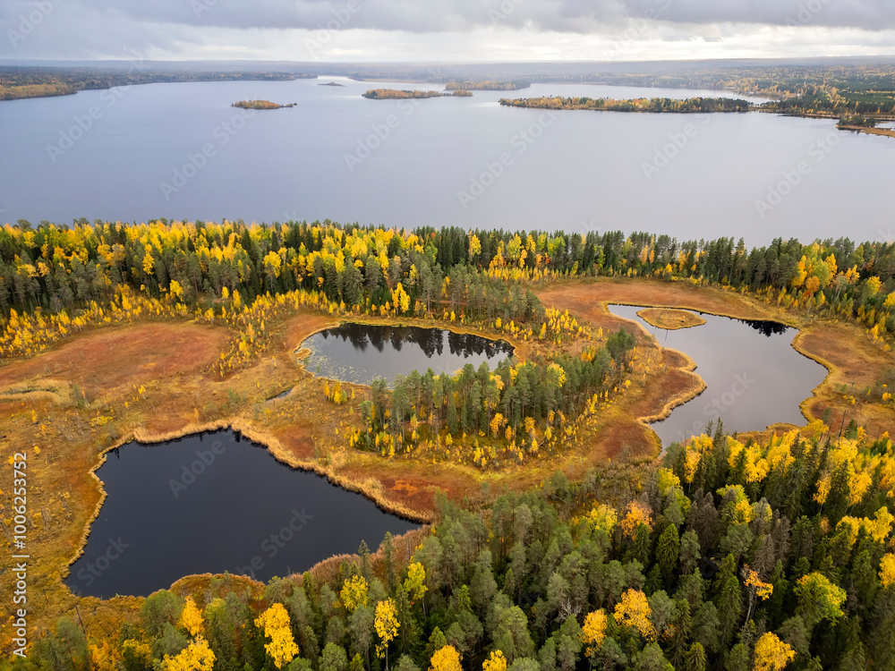 Picturesque view of autumn forest, lake and swamps from a bird's eye view. The beauty of Karelia's nature