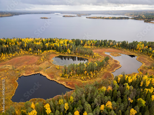 Obraz na płótnie Picturesque view of autumn forest, lake and swamps from a bird's eye view. The beauty of Karelia's nature w salonie