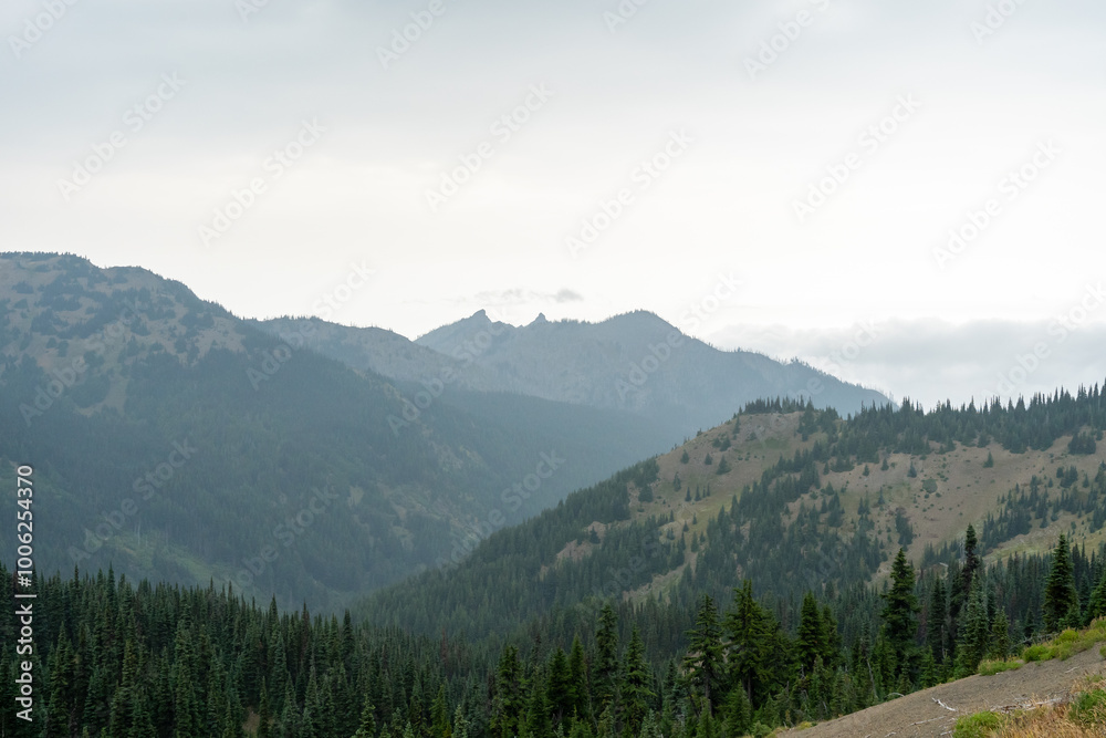 Fototapeta premium A stunning view of mountains on a rainy day from atop Hurricane Ridge.