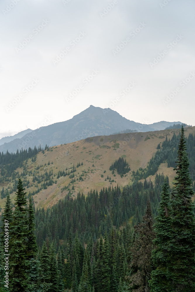 A stunning view of mountains on a rainy day from atop Hurricane Ridge. A stunning view of mountains on a rainy day from atop Hurricane Ridge.