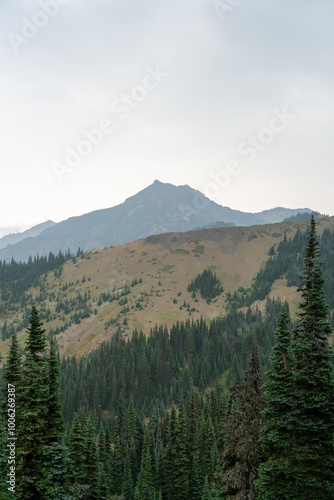 A stunning view of mountains on a rainy day from atop Hurricane Ridge.