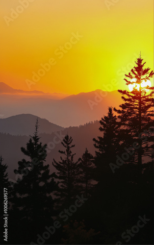 Sunset in the forest on the mountainside: sun rays break through the tree trunks during sunset.