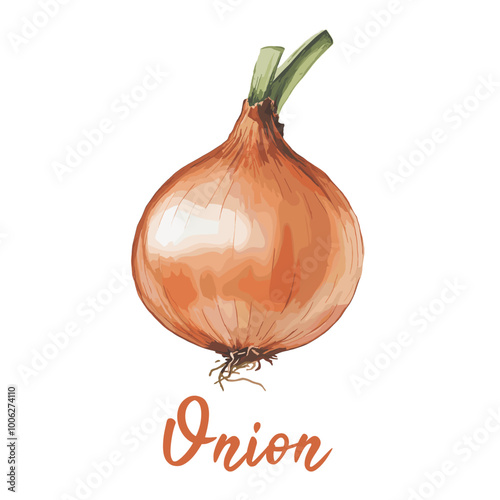 onion in watercolor illustration style, isolated vector on white background