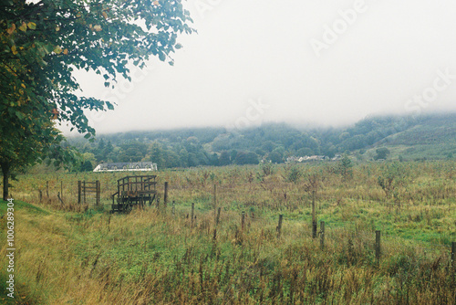 Fog over the Field - Campsie Glen, Scotland photo