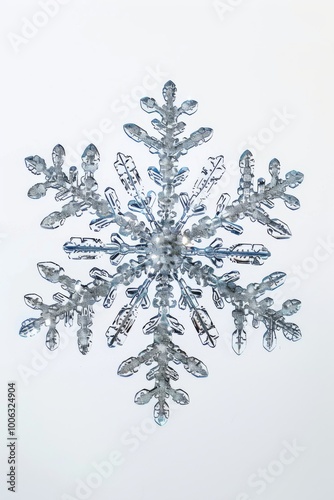 A Perfectly Formed Snowflake