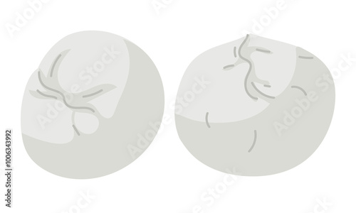 Mozzarella. Two different pieces of round cheese on a white background. Traditional Italian cheese baby mozzarella. Flat design for cafe, restaurant, poster. Hand-drawn. Circle of the dairy product