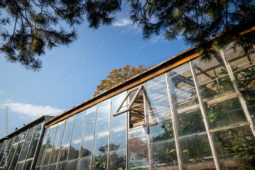 Open window vents in greenhouse for ventilation with tropical plants and flowers. Caring for rare plants, maintaining microclimate, optimal growing conditions, cultivation in hothouse Open window vents in greenhouse for ventilation with tropical plants and flowers. Caring for rare plants, maintaining microclimate, optimal growing conditions, cultivation in hothouse