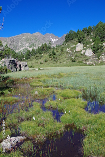 Le Carlit sommet des Pyrénées orientales, montagne des catalans photo