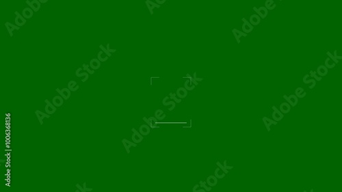 Facial Recognition Scanner Technology Animation on Green Screen Background - 4K Video
