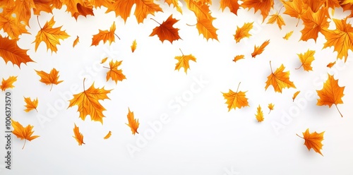 Fluttering leaves modern illustration on a white background