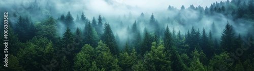 A stunning drone shot over a vibrant forest blanketed in mist, with the lush green treetops fading into the soft clouds. Perfect for cinematic nature landscapes.