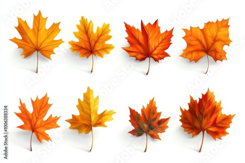 On transparent background, a collection of autumn leaves can be seen