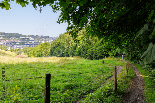 Walker going down the bucolic path from Canteleu to Rouen right bank, across green pasture fields and view of city in the background, Normandy, France