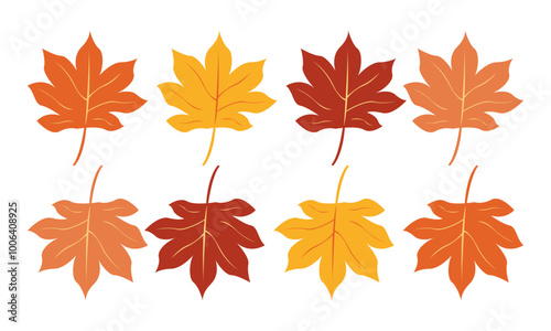 A collection of eight autumn leaves in warm shades of red, orange, and yellow, arranged in two rows against a white background.