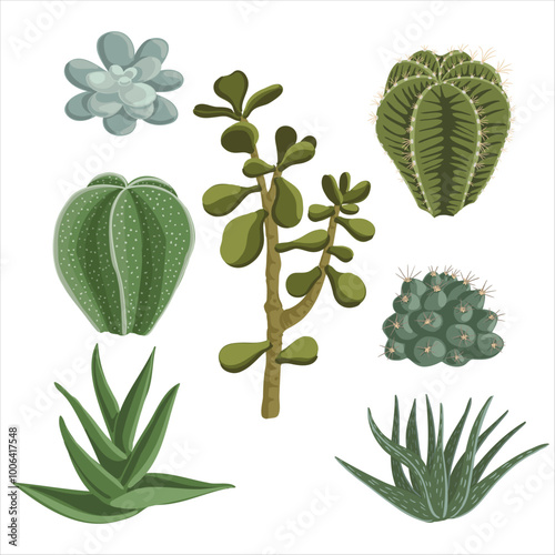 vector drawing house plants, succulents isolated at white background, hand drawn illustration